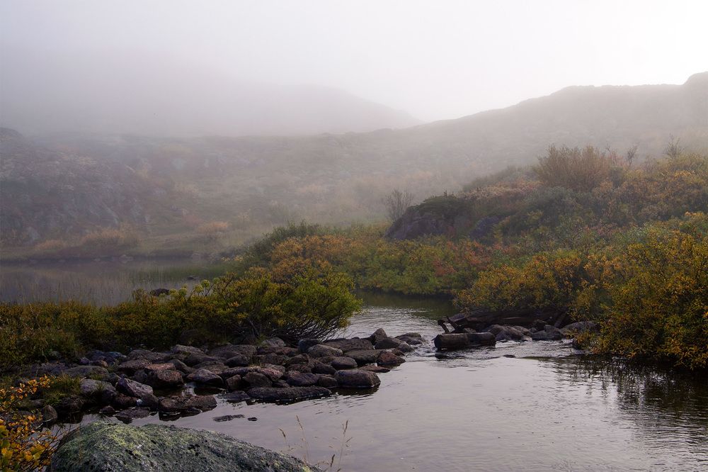 Фотография автора Андрей Русских