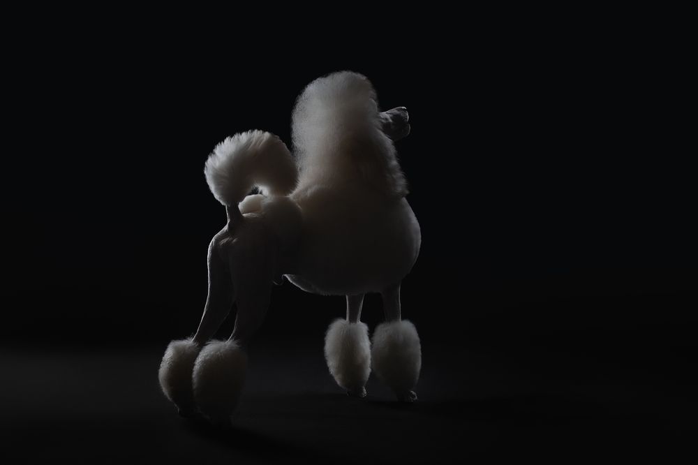 Photograph by Светлана Писарева