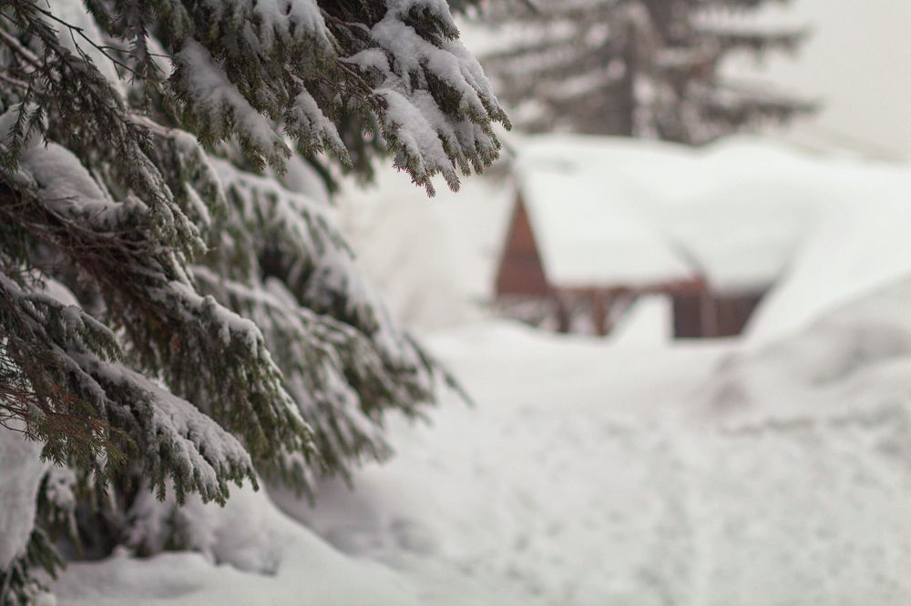 Photograph by Виктория Бурова