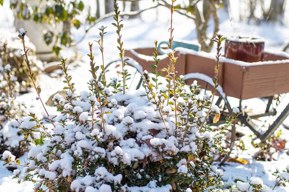 Photograph by Inna Piela