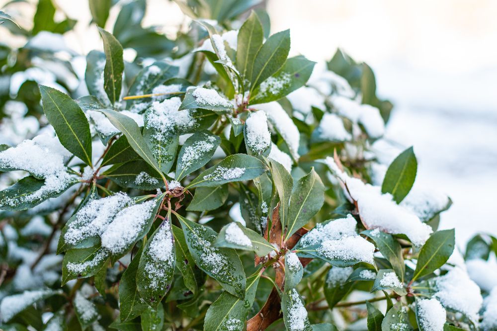 Photograph by Inna Piela