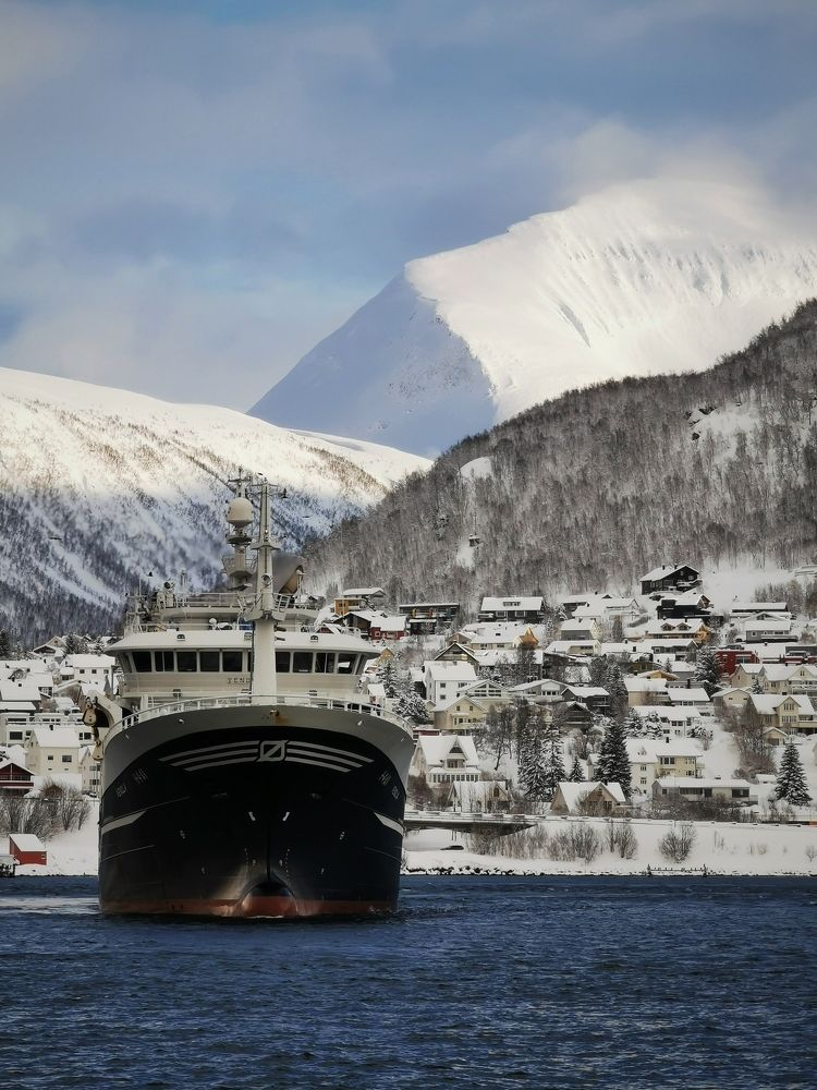 Photograph by Елена Иваненко