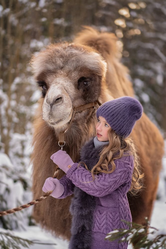 Photograph by Владимир Гордеев
