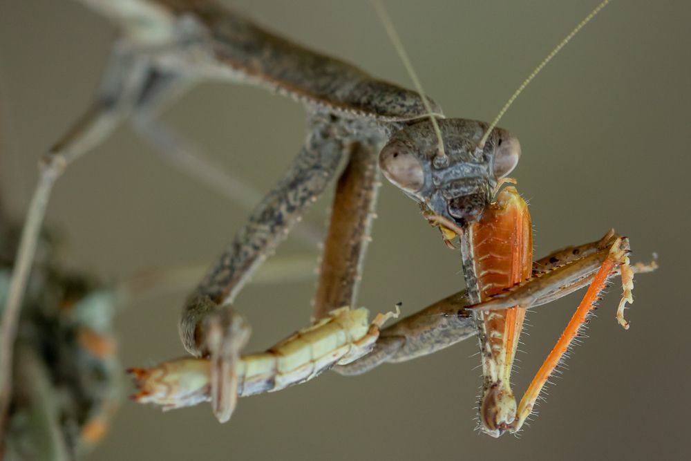 Photograph by Pablo Dolsan