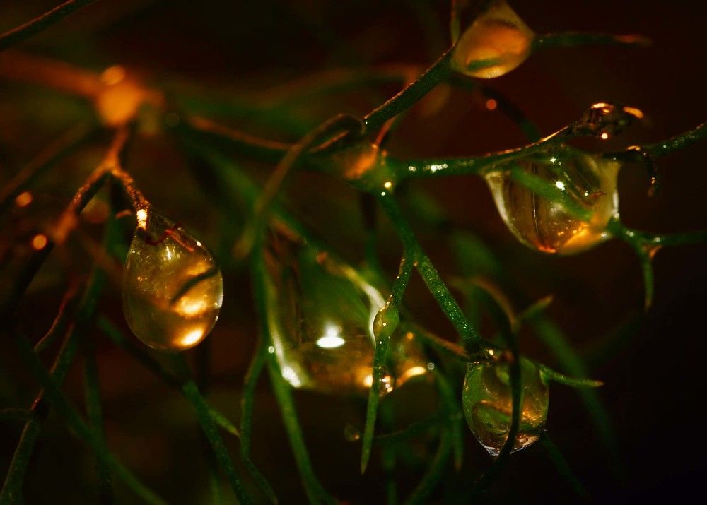 Накал последнего луча