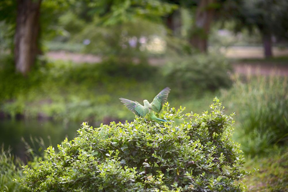 Photograph by Tatiana Kurilas