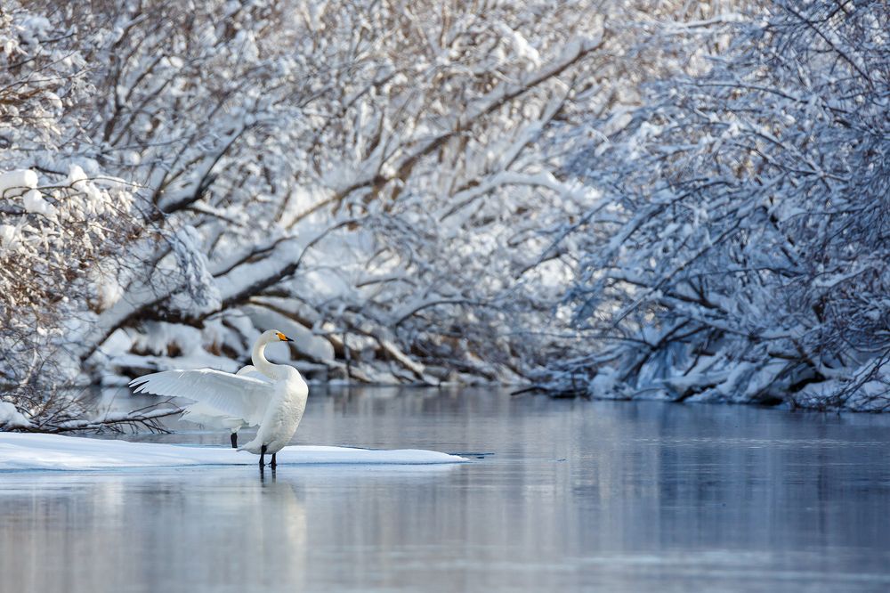 Photograph by Денис Будьков