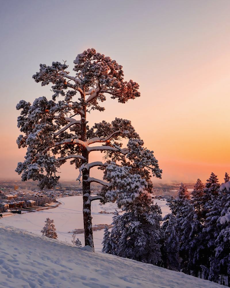 Photograph by Александр Шипиленко