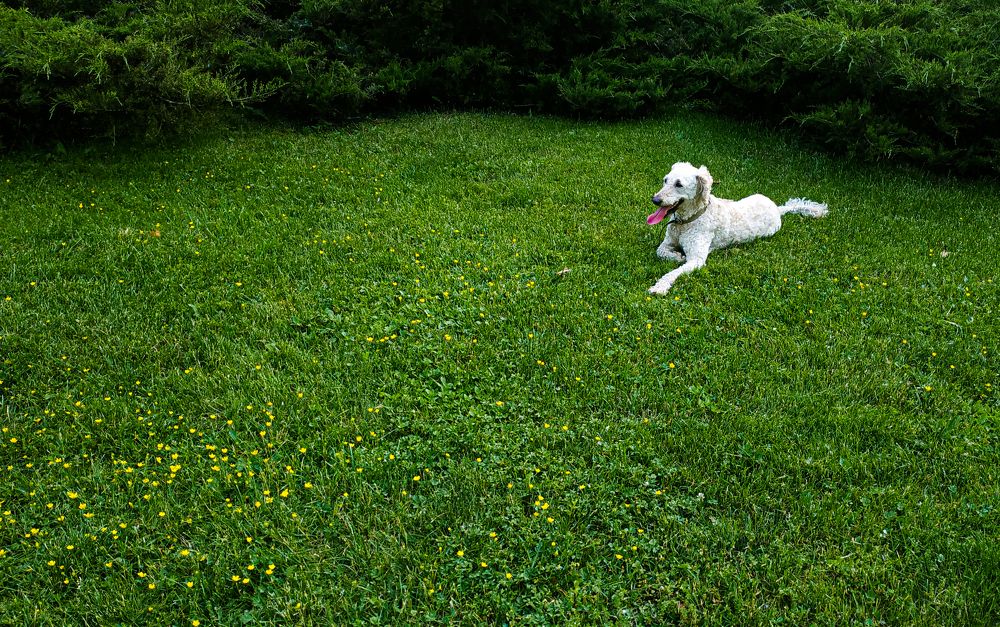 Photograph by Hanna Zapylaieva