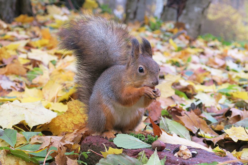 Photograph by Константин Юрченко