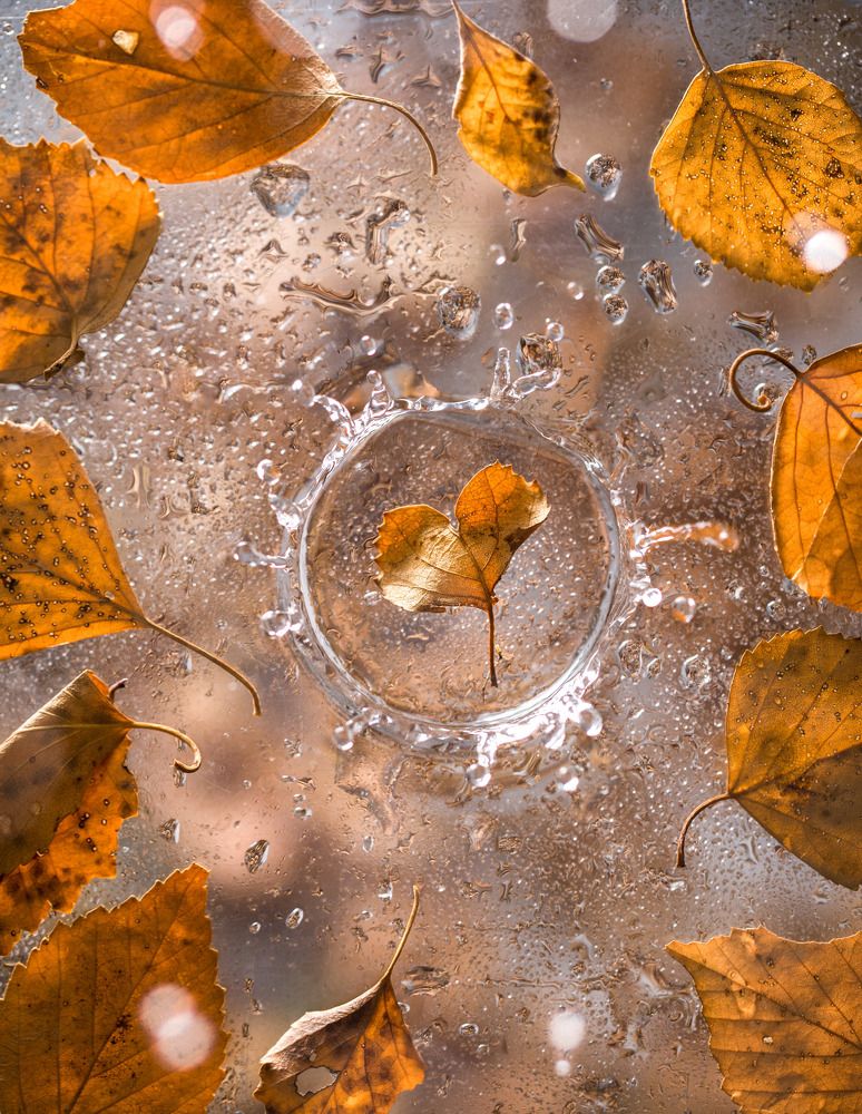 Photograph by Наталья Оконешникова