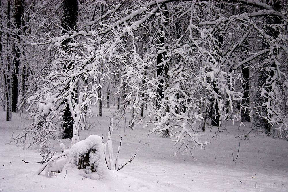 Photograph by Иван Пархоменко