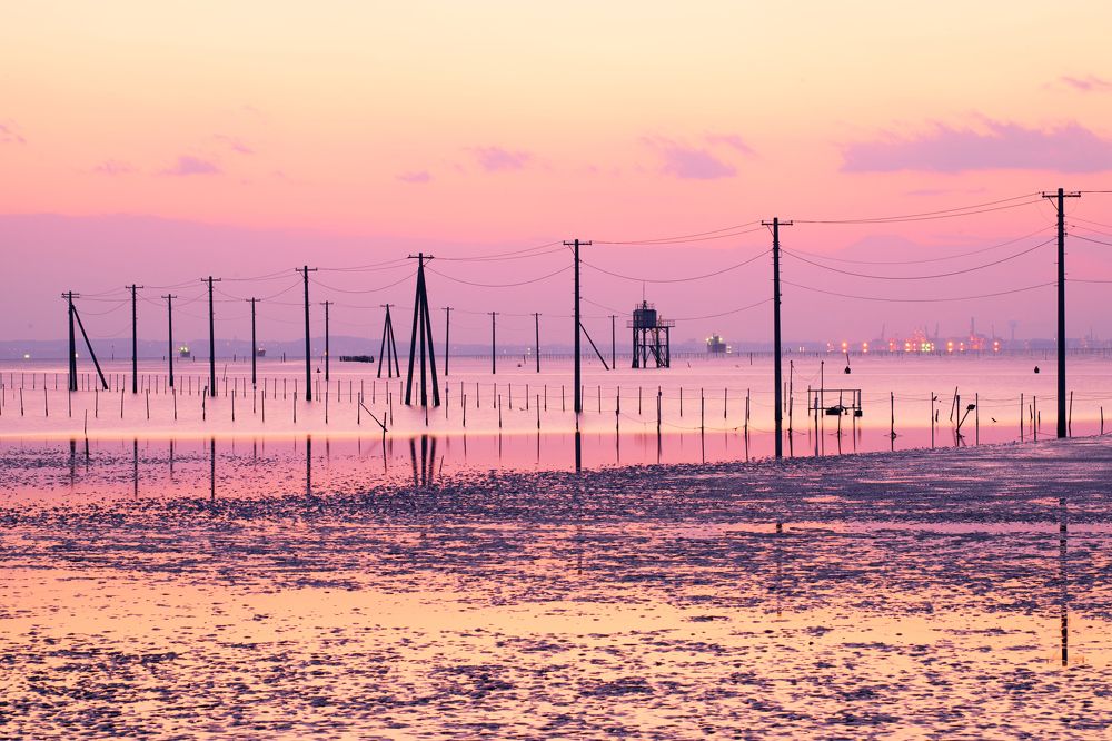 Фотография автора yamazaki taro