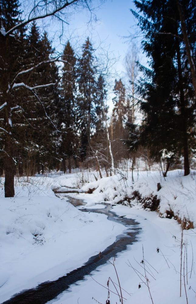 Речка «Каменка».