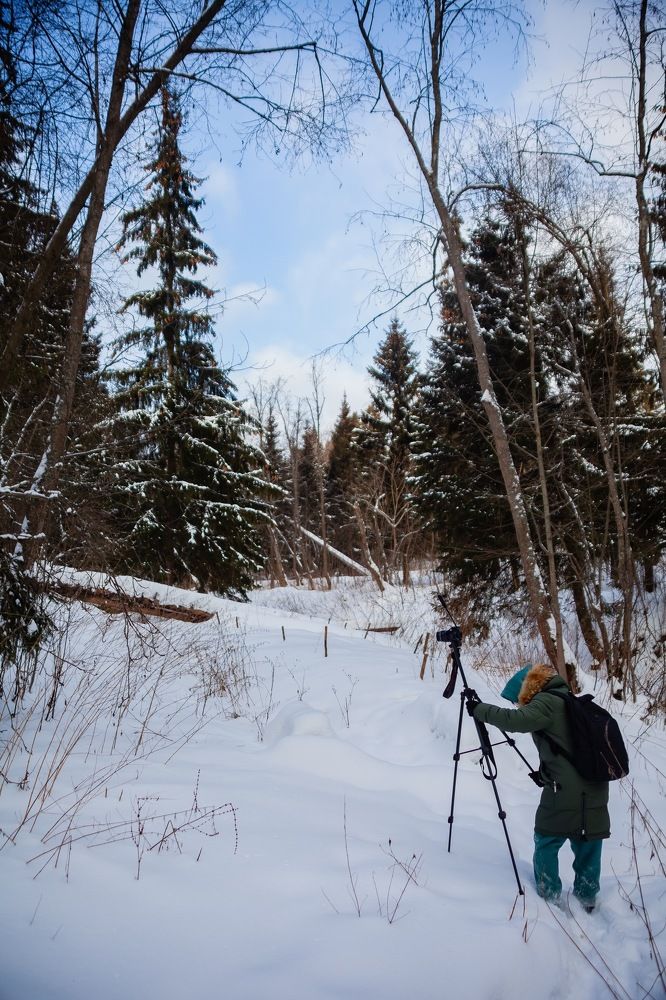 Зимние прогулки.