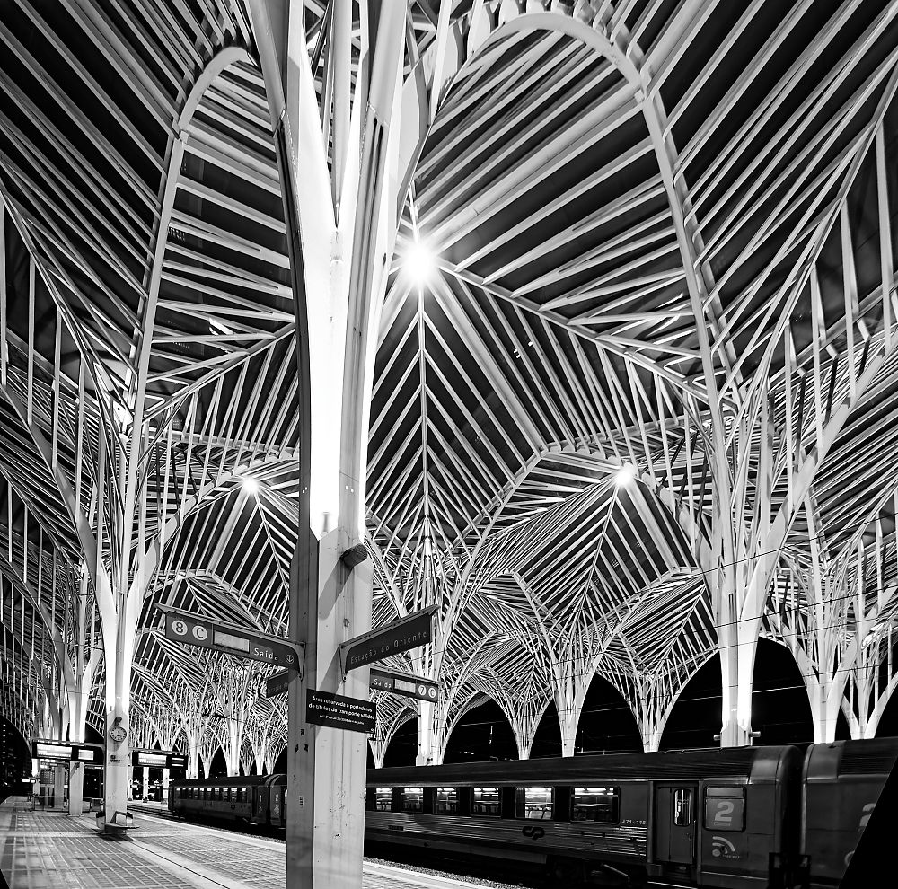 Photograph by Alain NEGRONI