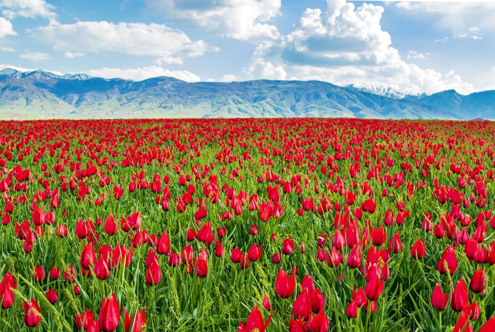 Photograph by Mehmet Can ALKAS