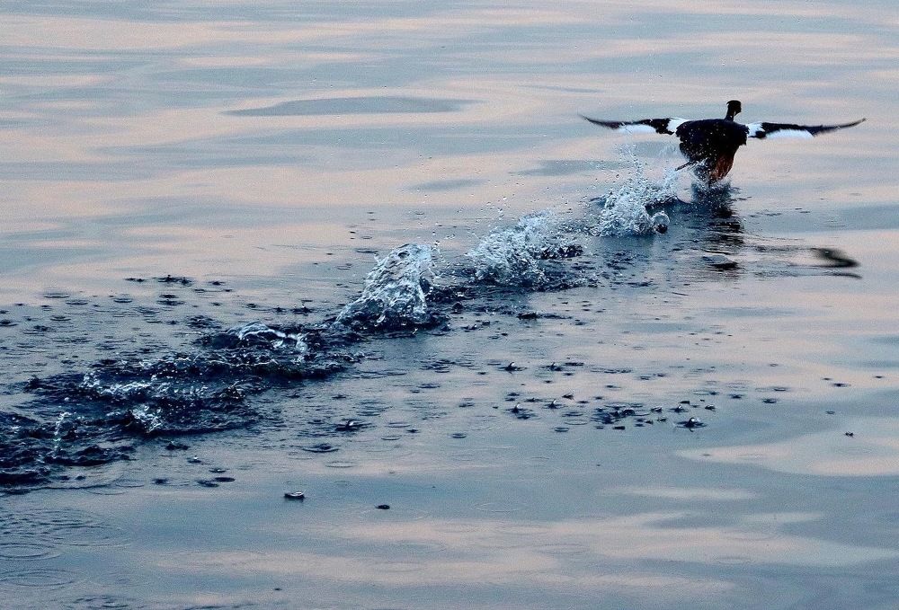 Photograph by Малика Маткарим