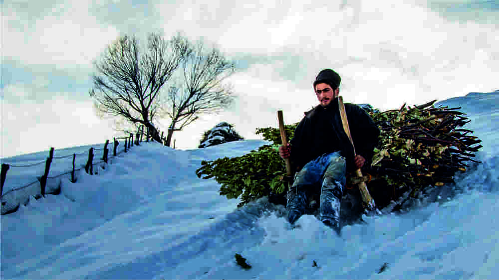 Photograph by Mehmet Can ALKAS