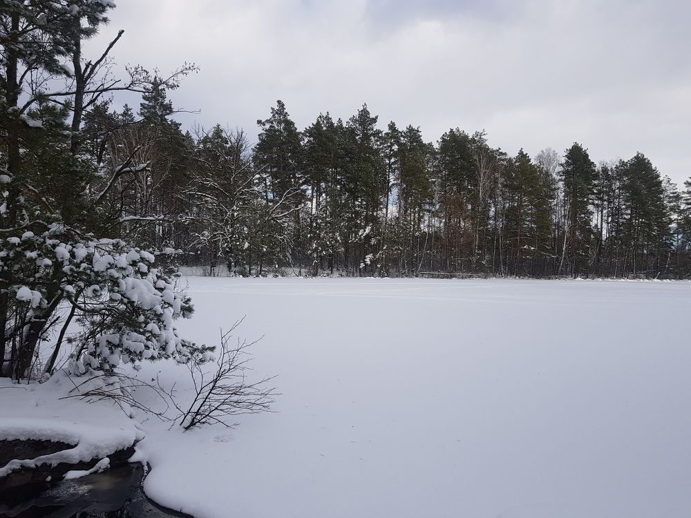 Photograph by Ліана Устимчук