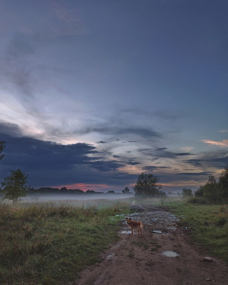 Photograph by Хельга Крас