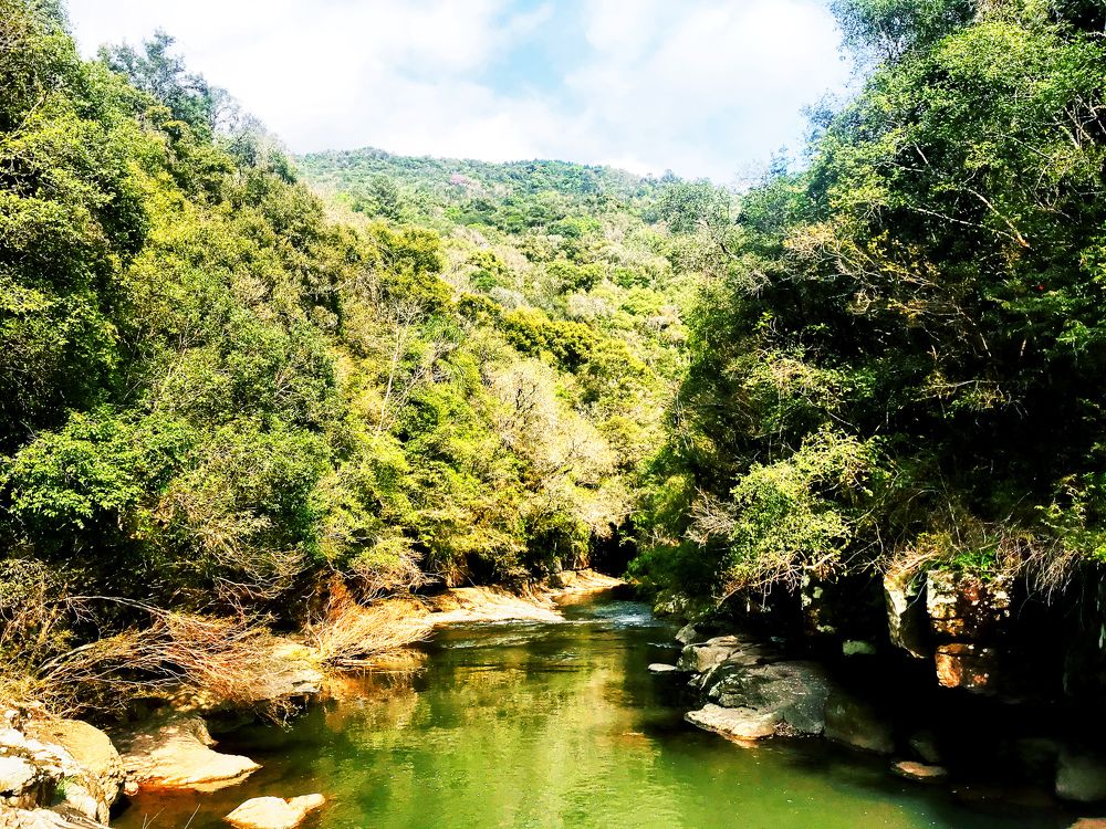 Photograph by Paulo Cesar Soares