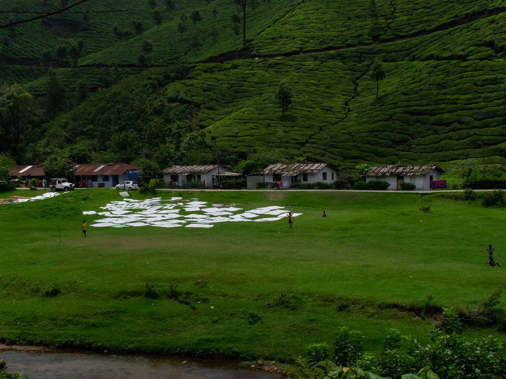 Mesmerizing landscape