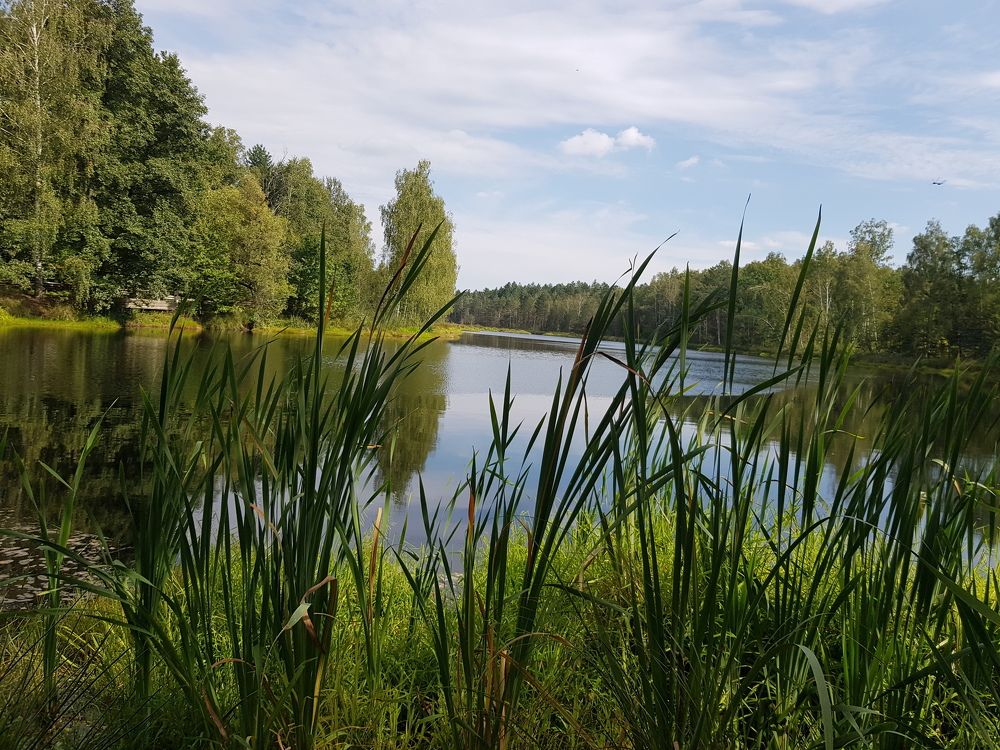 Photograph by Ліана Устимчук