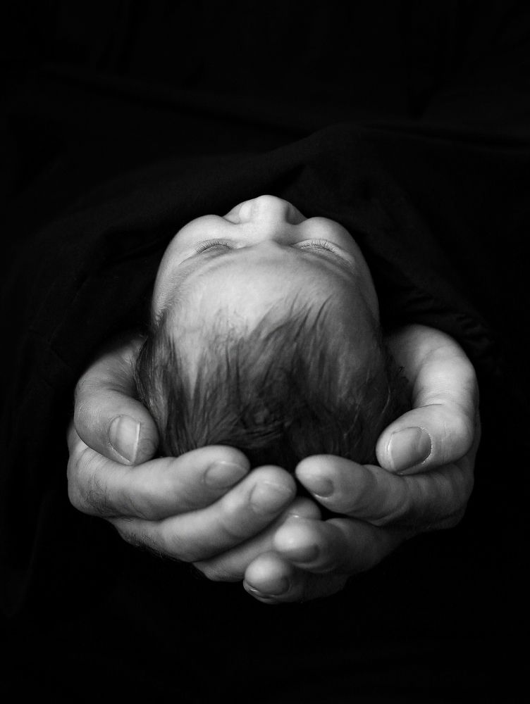 Photograph by Julia Stuckert