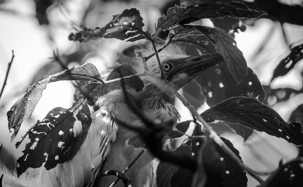 Photograph by Daniela Santana