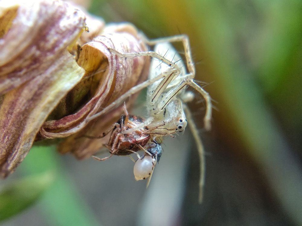 Photograph by Abhijit Roy