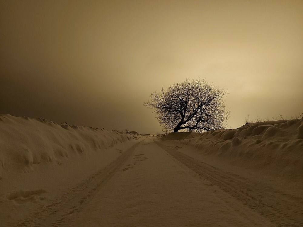 И так каждую ночь.