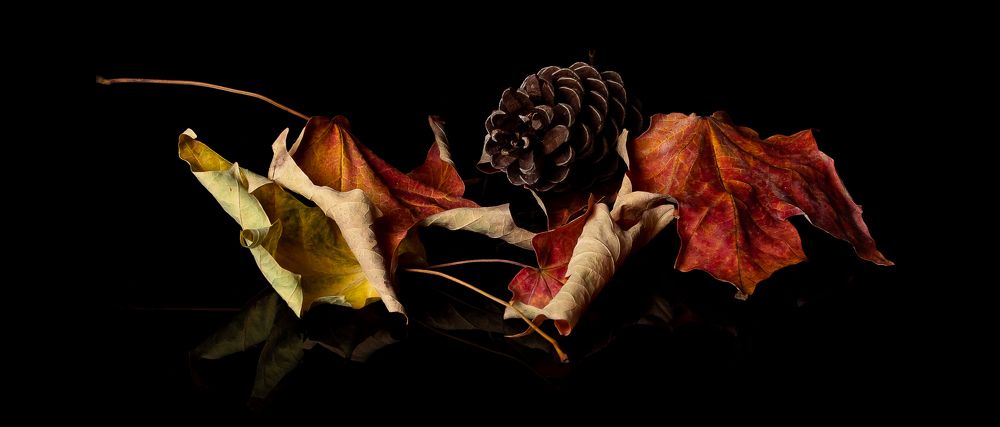 Autumn Still Life