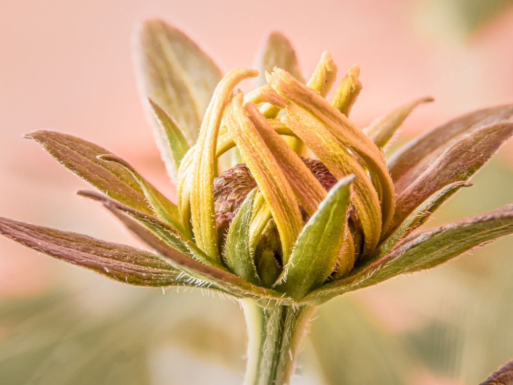 Photograph by Andrew Tri