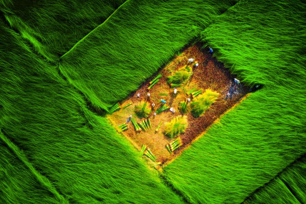 Photograph by Tuấn Nguyễn Tấn