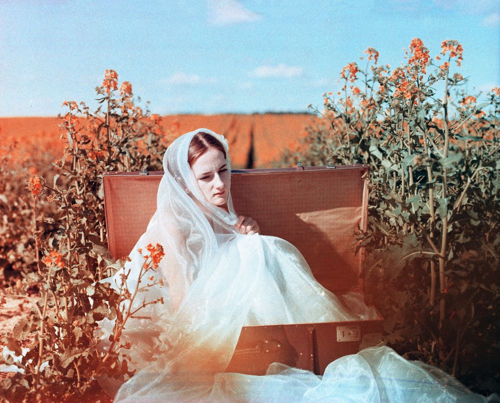 Photograph by Максим Коростелев