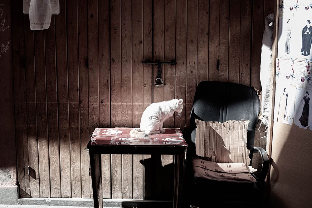 Photograph by Zouridakis Antonis