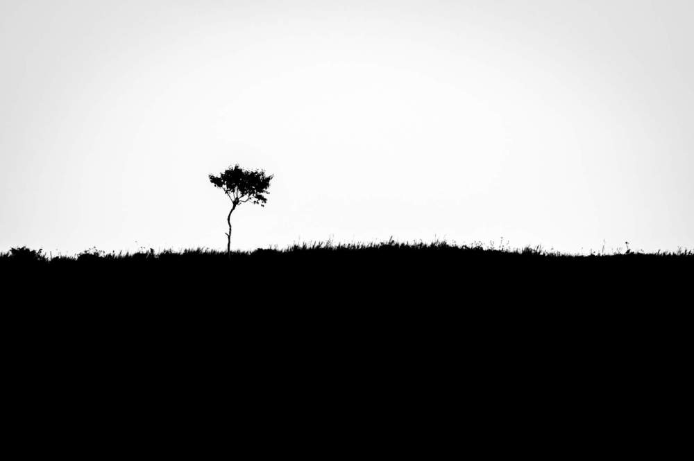 Фотография автора Денис Винарь