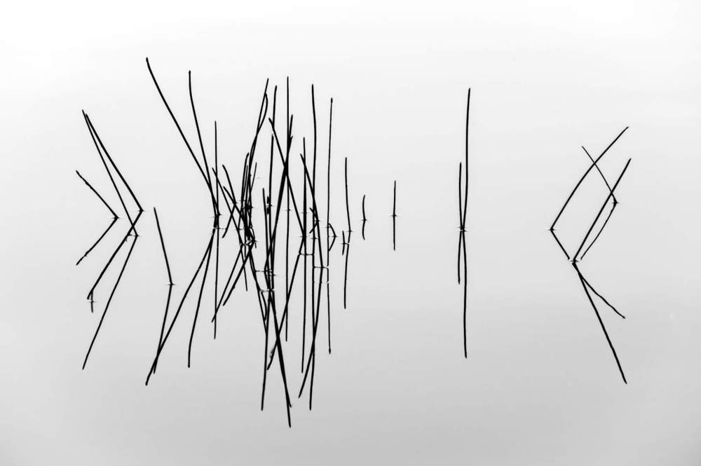 Фотография автора Денис Винарь