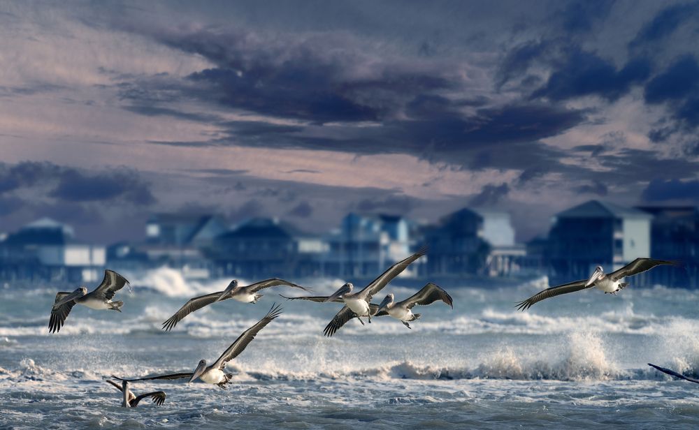 Фотография автора Irina Kozhemyakina