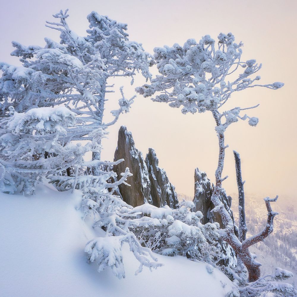 Photograph by Сергей Межин