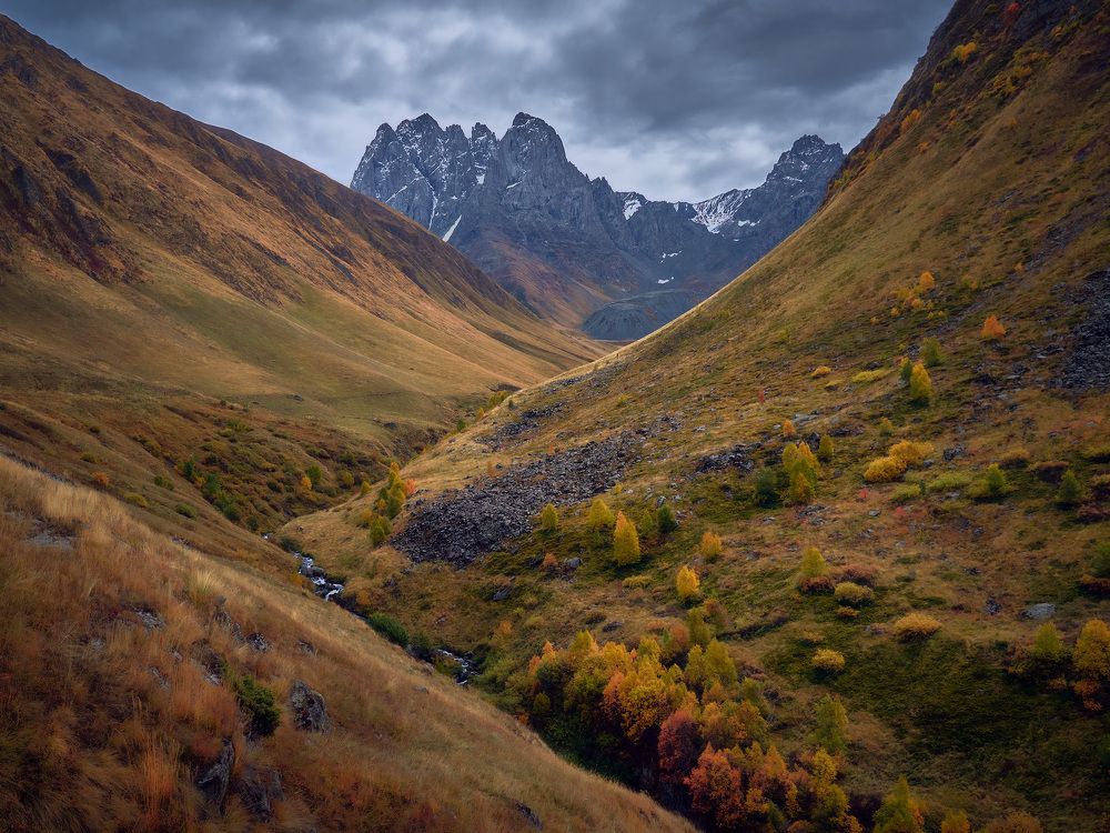 Photograph by Сергей Межин