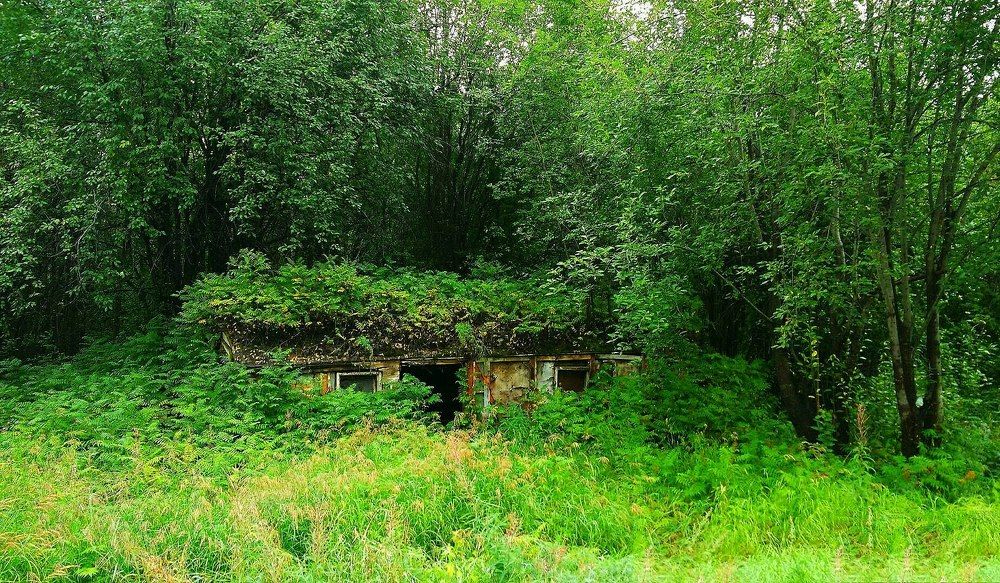 Photograph by Женя Евсеева