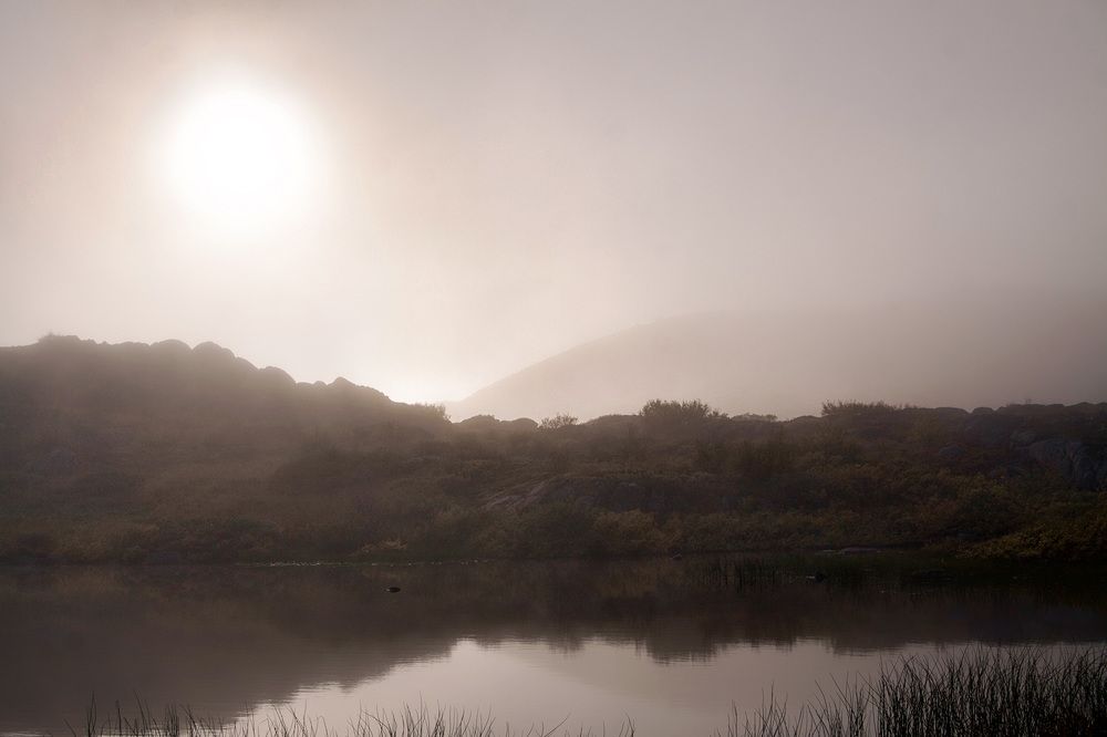 Фотография автора Андрей Русских