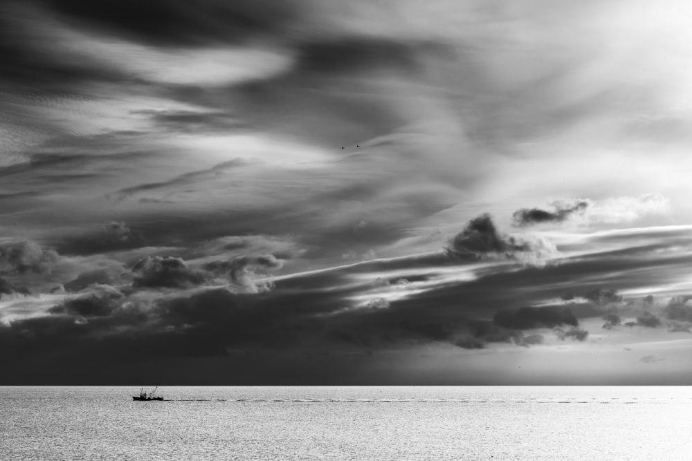 Photograph by Владимир Лысов