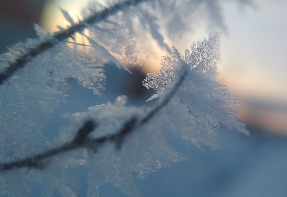 Photograph by Svetlana Shtunova