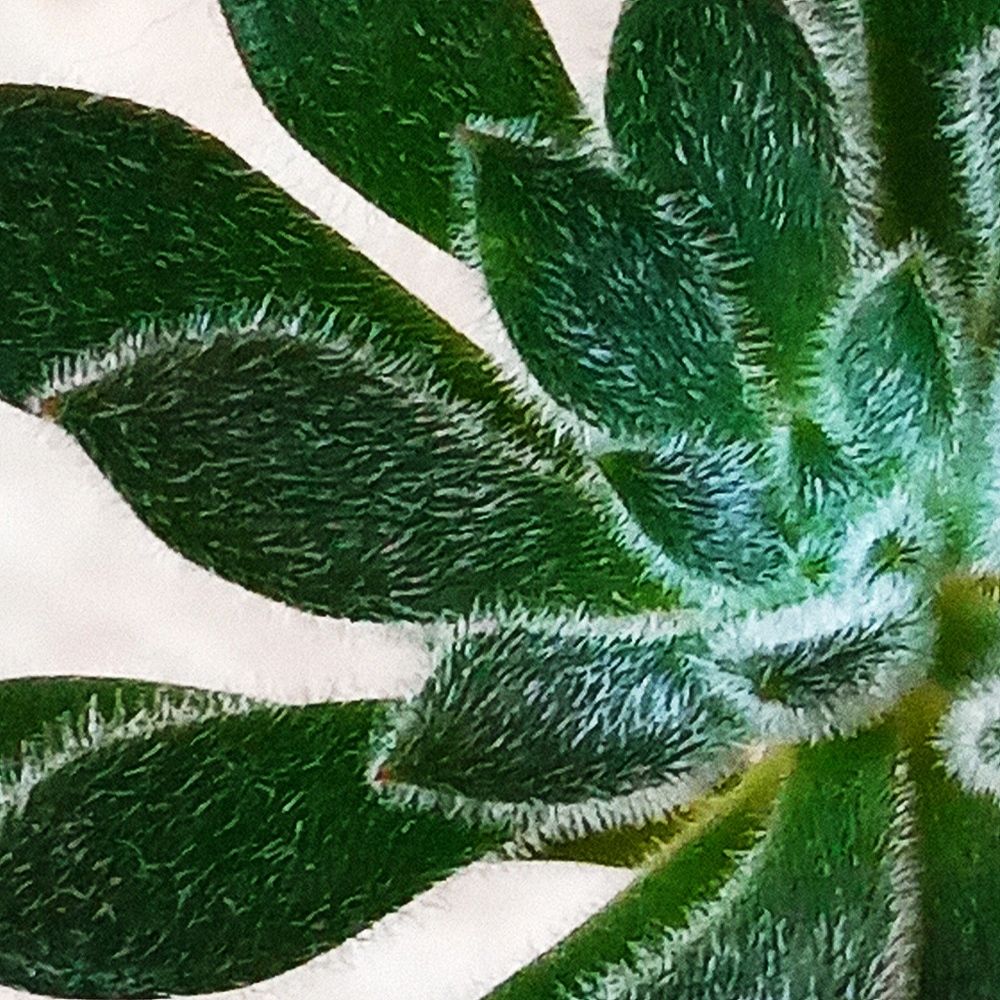 Photograph by leandro enrique ramirez torres