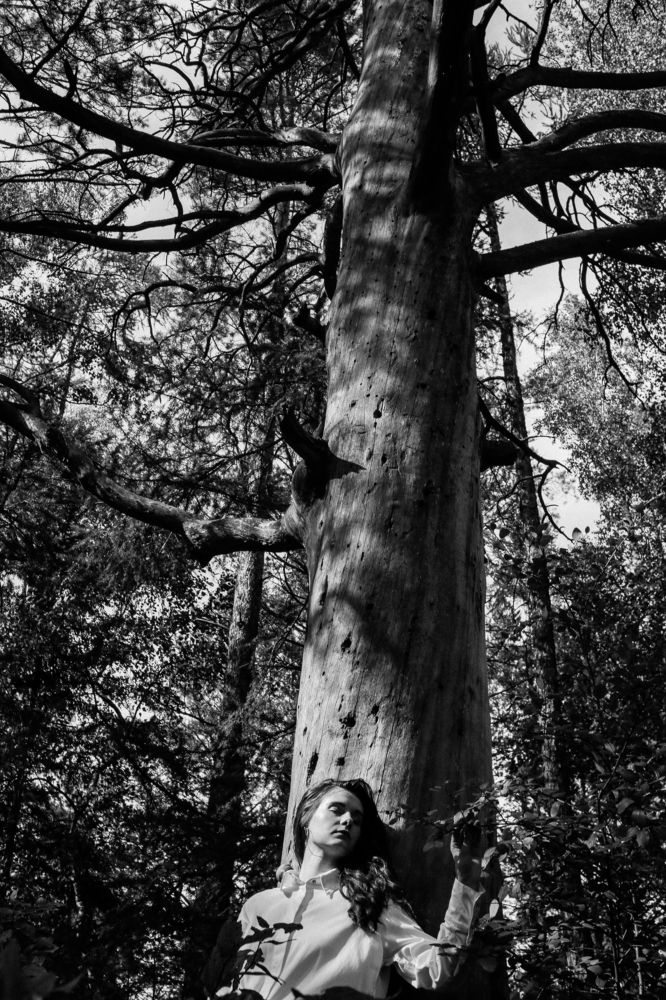 Фотография автора Анна Медведева