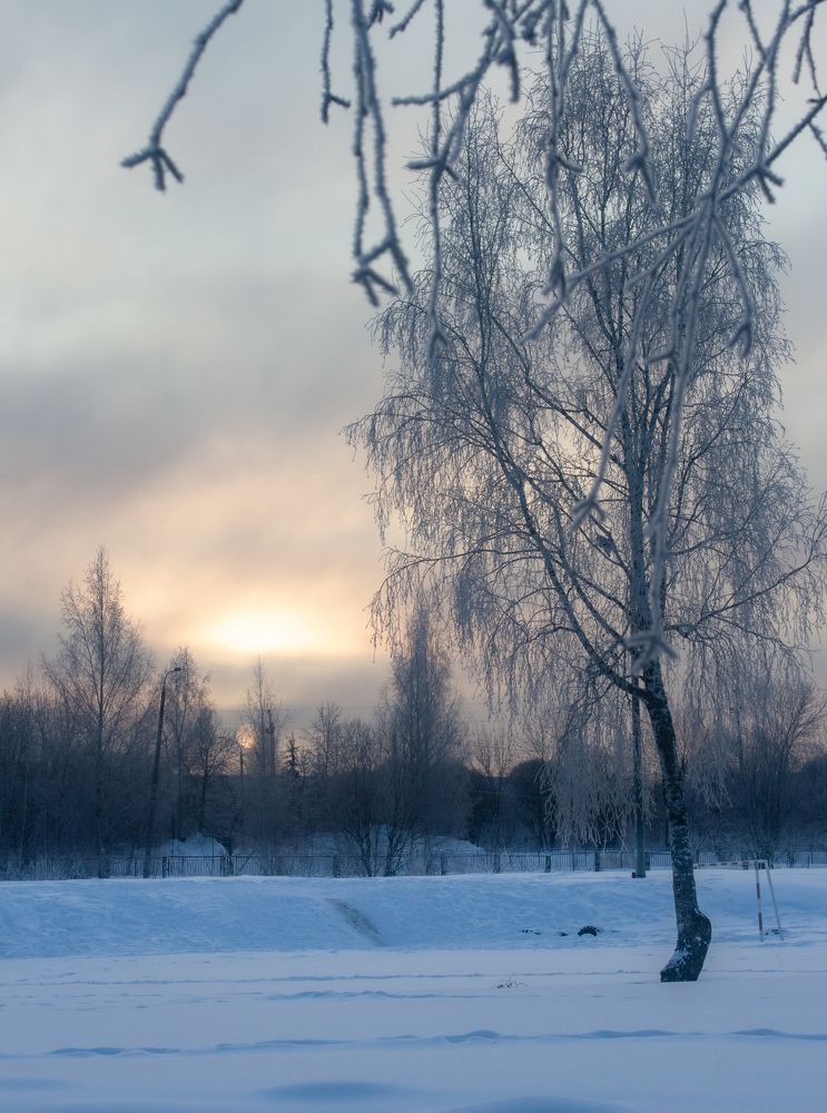 Photograph by Михаил Кудрин