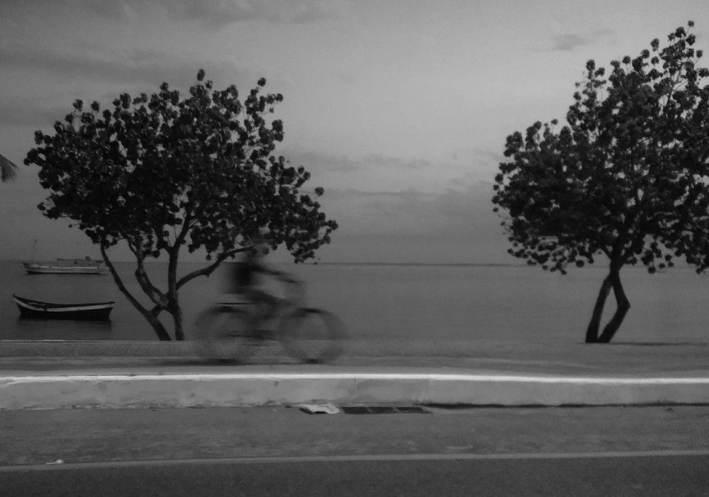 Photograph by Tatiana Barthem